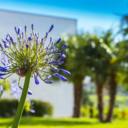 Quinta De San Amaro Rias Baixas Hotel Meano
