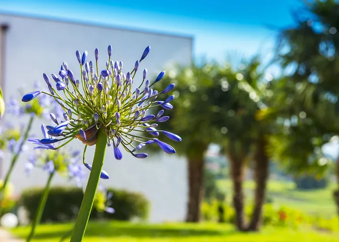 Quinta De San Amaro Rias Baixas Otel Meaño