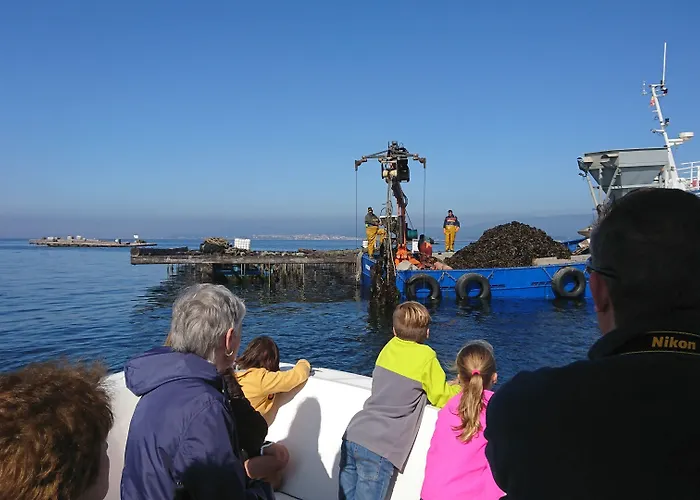 Quinta De San Amaro Rias Baixas 3*