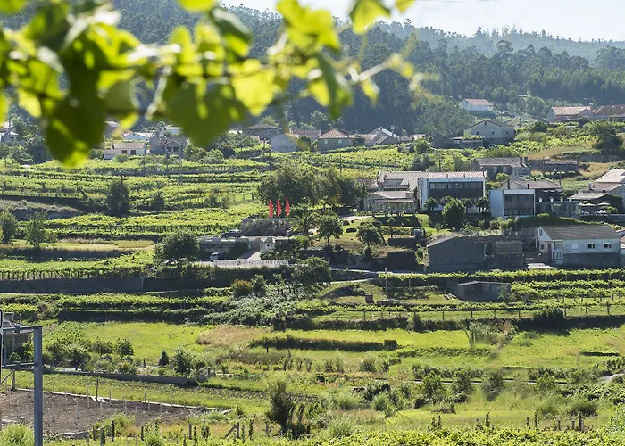 Quinta De San Amaro Rias Baixas Szálloda Meaño