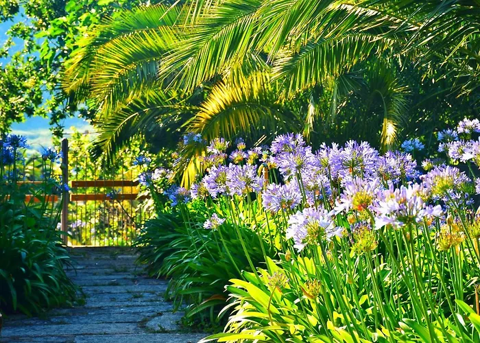 Quinta De San Amaro Rias Baixas