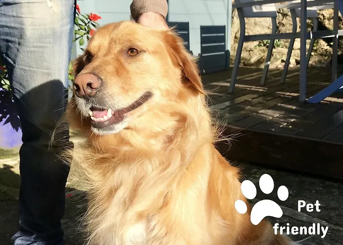 Hotel Quinta De San Amaro Rias Baixas 3*